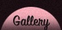 Gallery Button